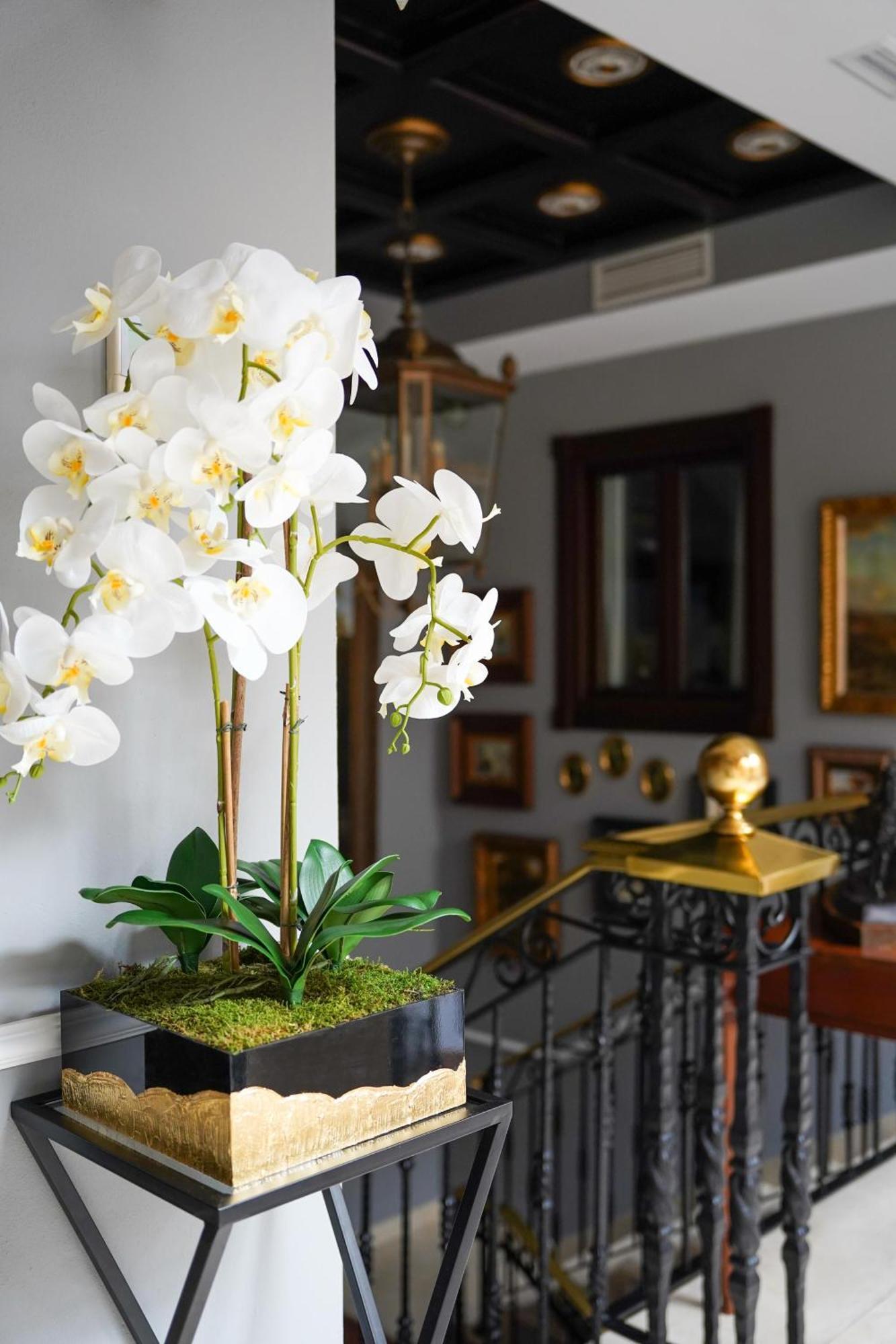 Hotel Boutique Casa Veracruz Estepona Buitenkant foto